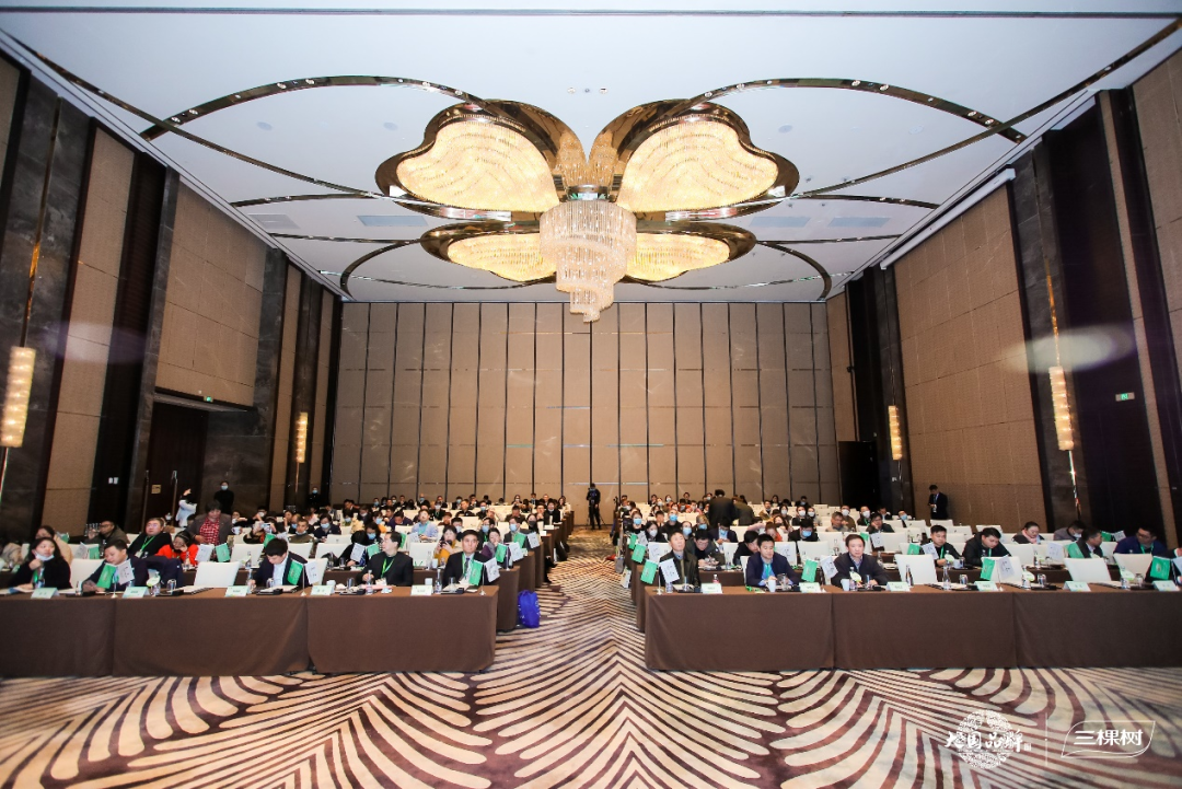 2020城博會(huì )系列論壇報道